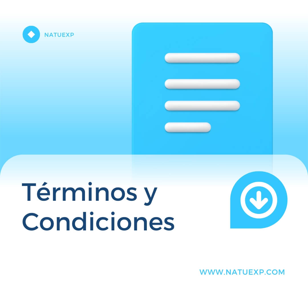 Terms and Conditions